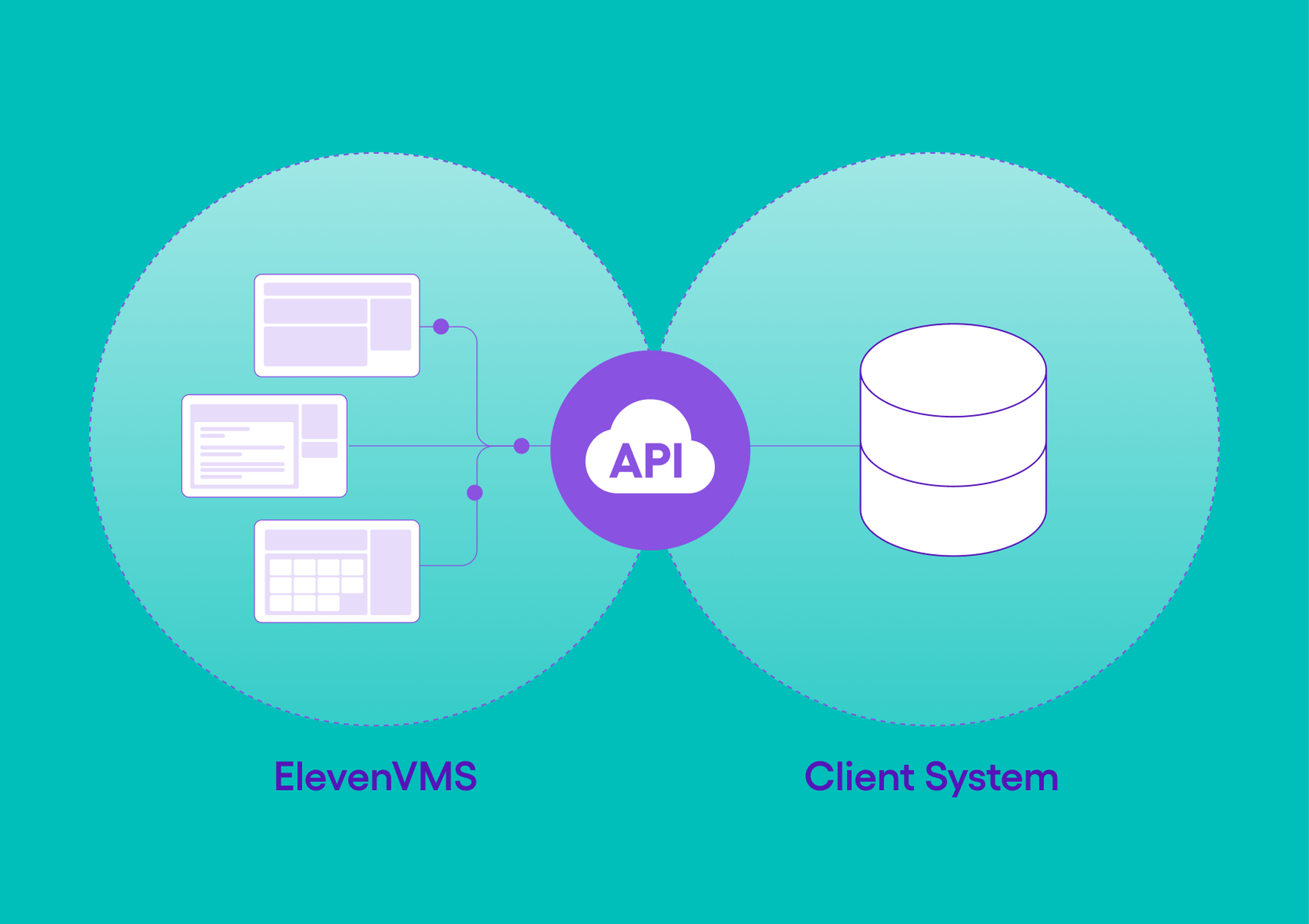 API Powered Connectivity VMS