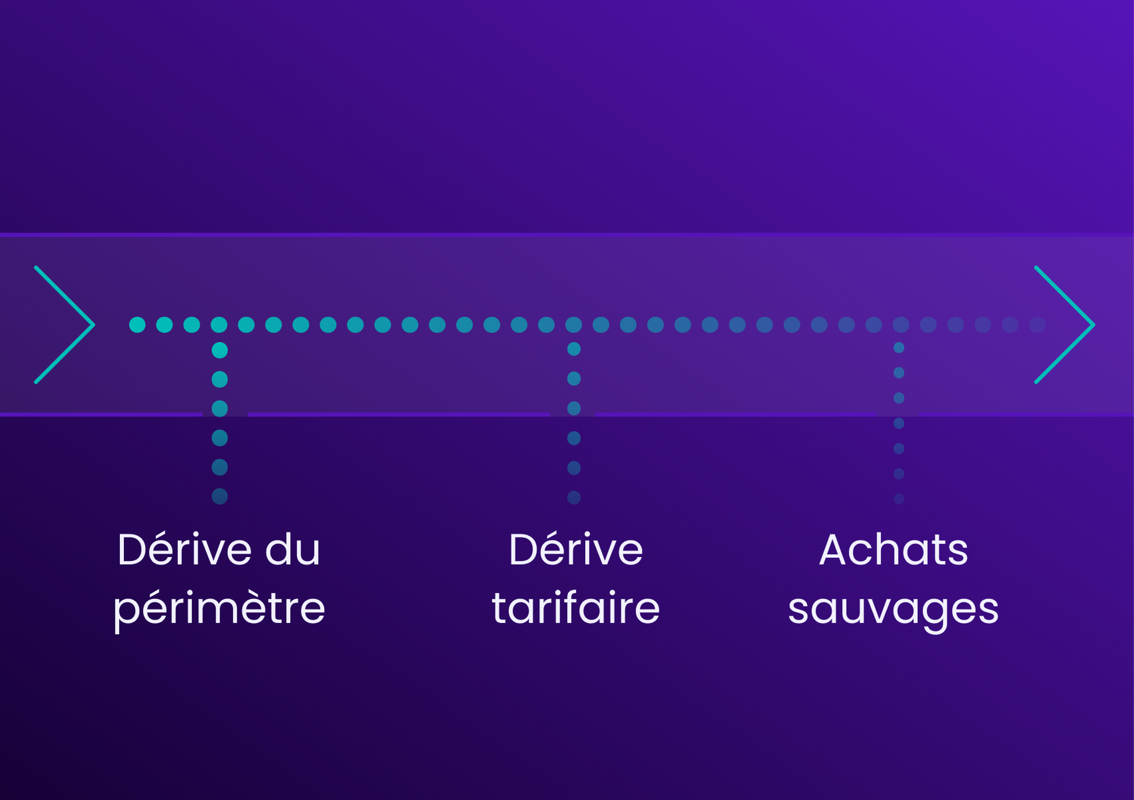 A purple background with arrows and dotted lines pointing to three labeled sections: "Dérive du périmètre," "Dérive tarifaire," and "Achats sauvages."