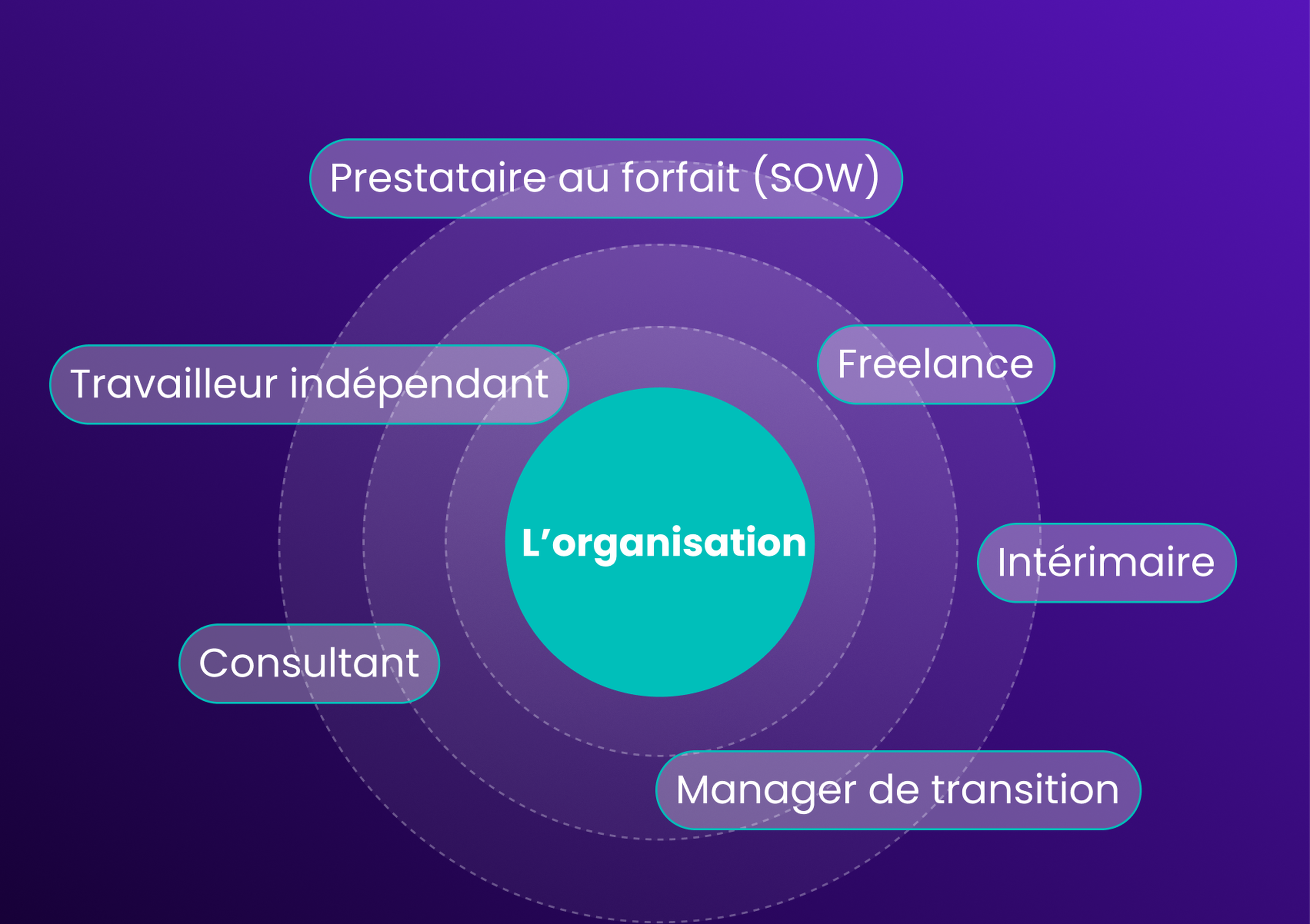 Diagram with a central circle labeled "L'organisation" surrounded by terms: Prestataire au forfait, Travailleur indépendant, Freelance, Intérimaire, Consultant, Manager de transition.
