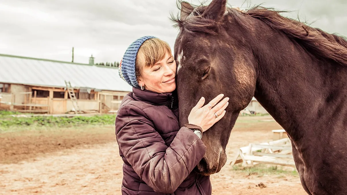explain case