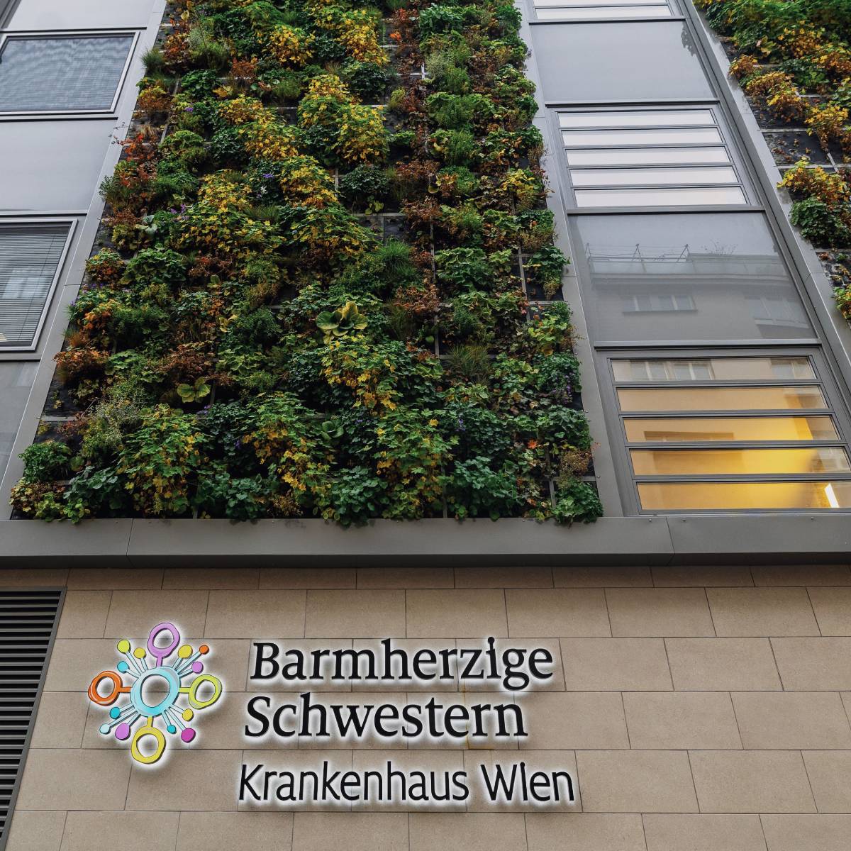 Die begrünte Fassade des Barmherzige Schwestern Krankenhauses Wien