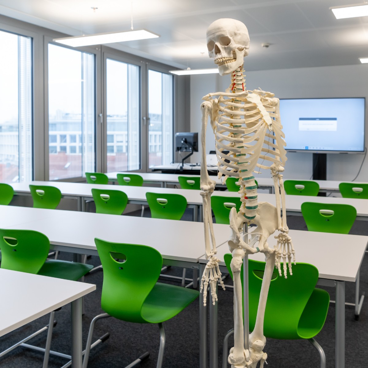 Ein Schulungsraum mit grünen Sesseln und Schreibtischen, die Aufsicht hat das Modell eines Skeletts.