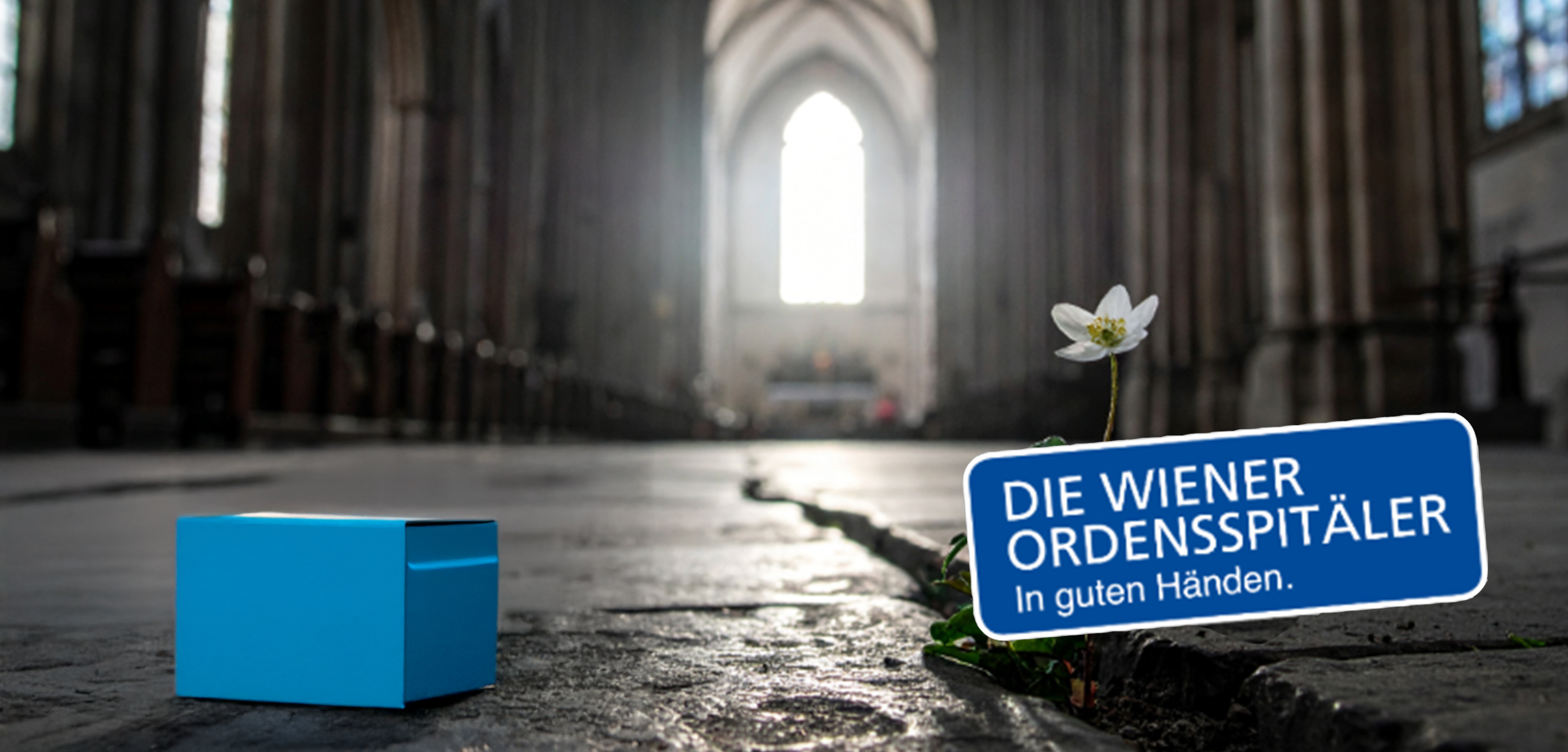 Eine Blume in einer Kirche