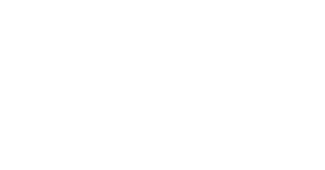 Logo der Vinzenz Gruppe