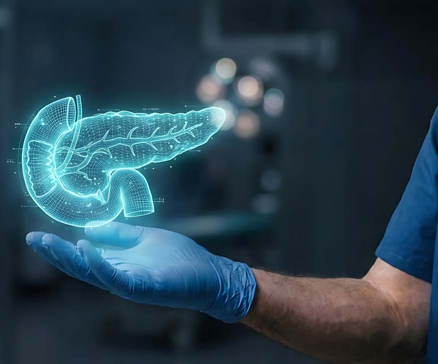 über Hand schwebst virtuelle Pankreas