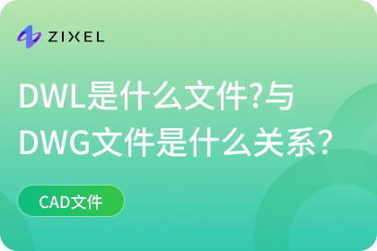 DWL是什么文件