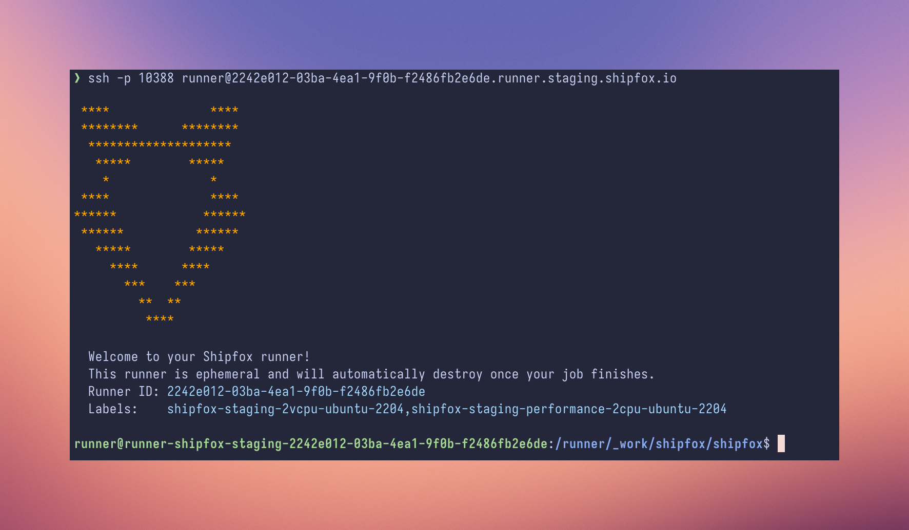 ssh runner welcome screen
