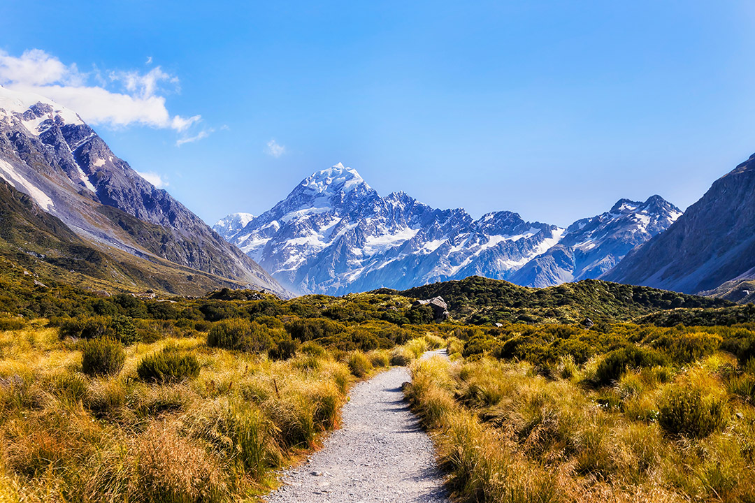New Zealand