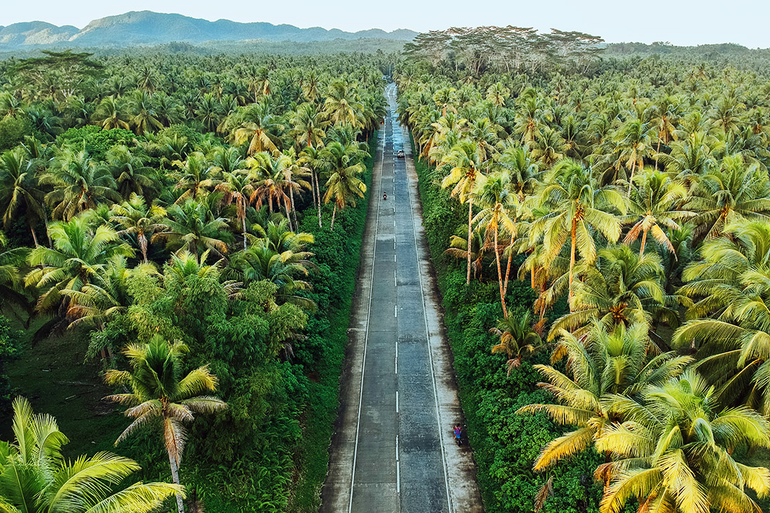 An island in the Philippines