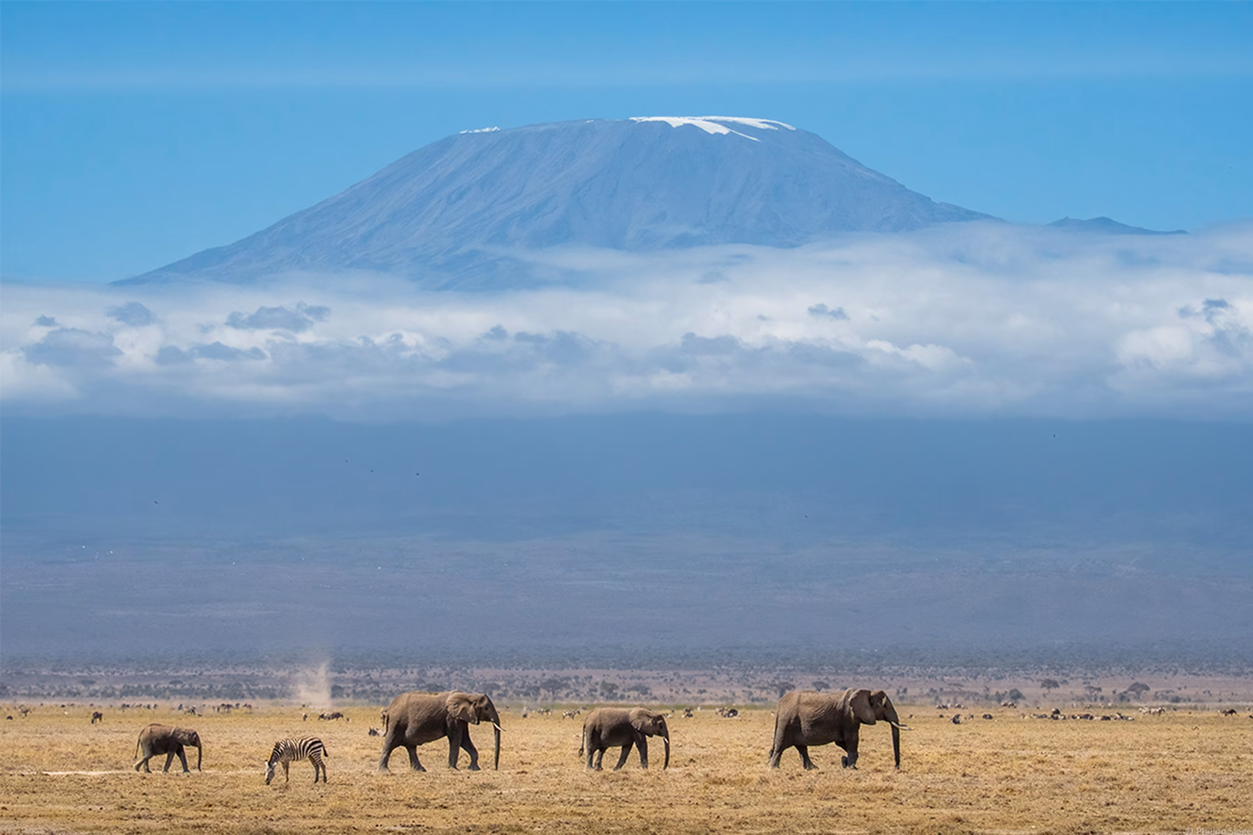 tanzania