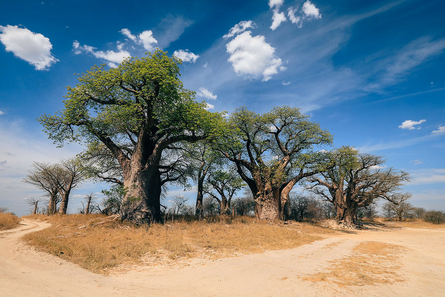 botswana