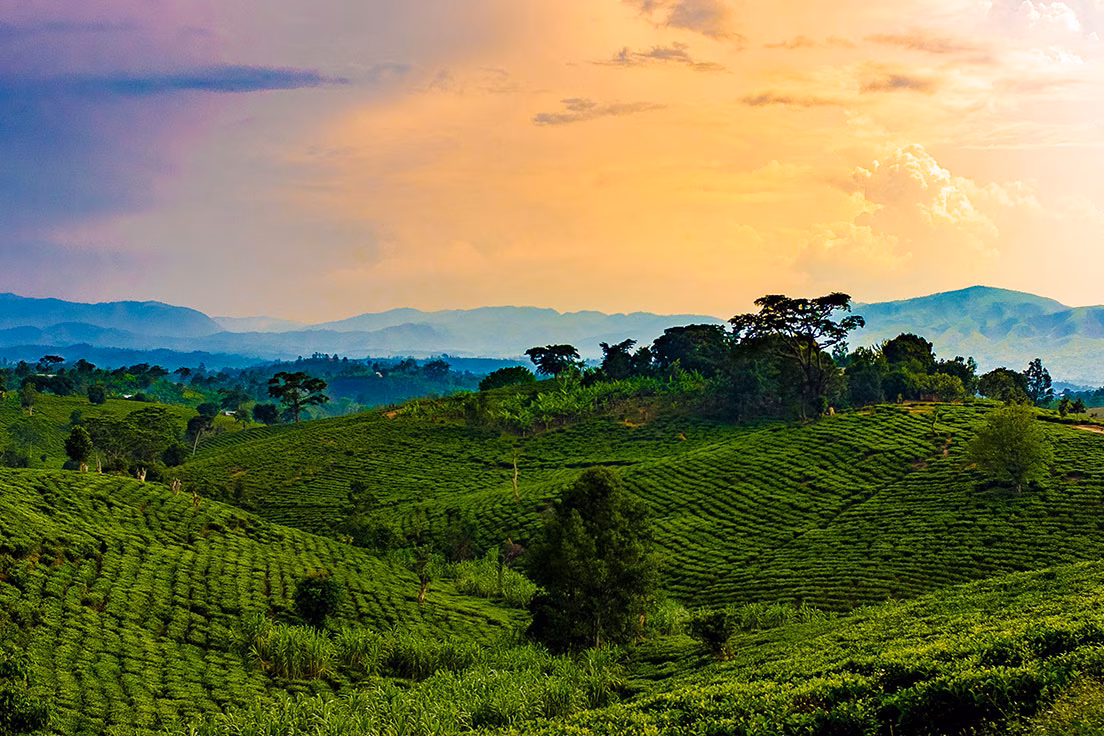 rwanda