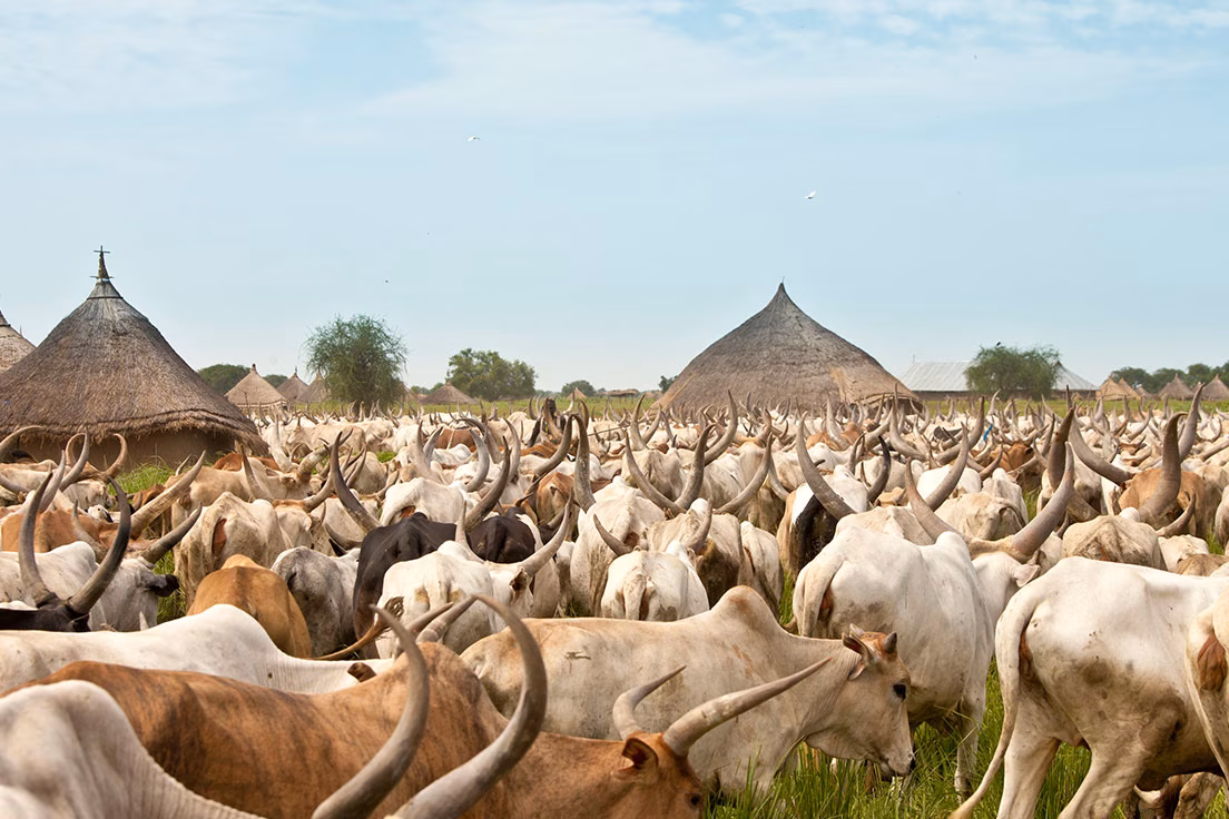 south-sudan