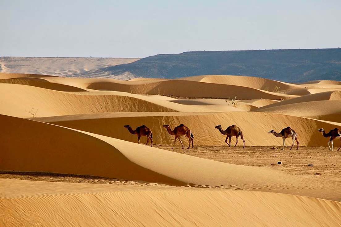mauritania