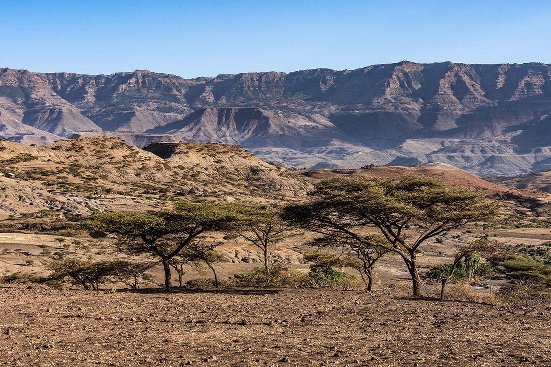 eritrea