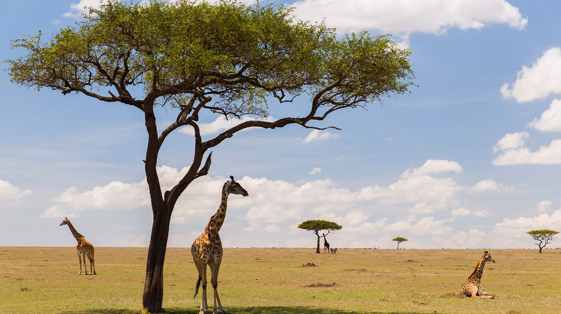 kenya