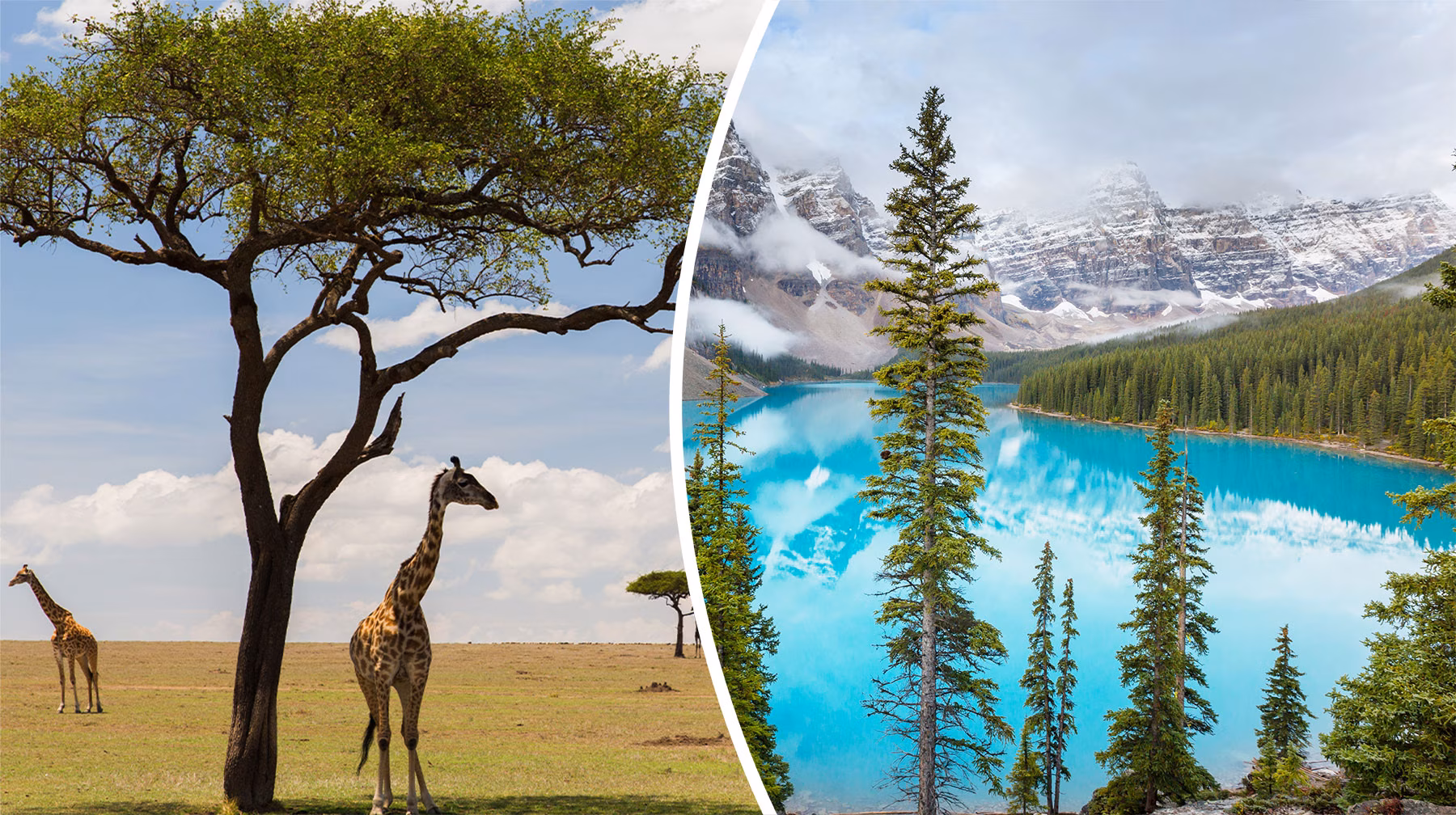 kenya-and-canada