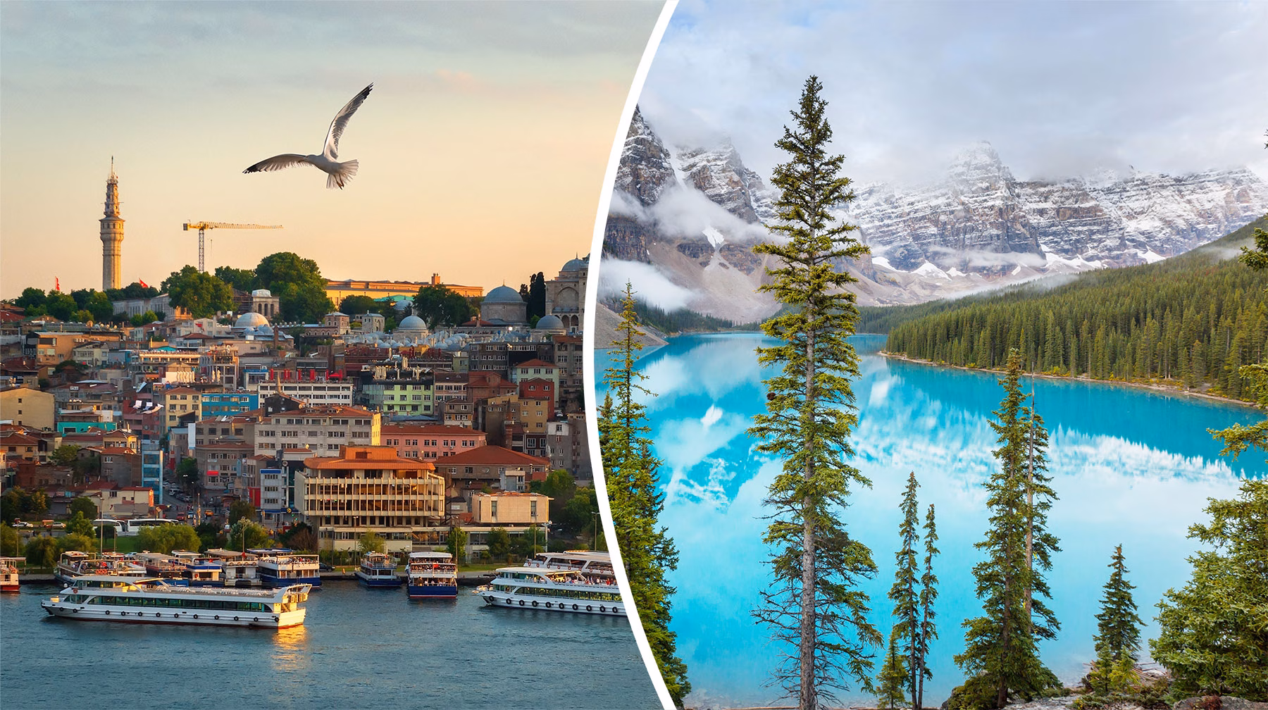 turkey-and-canada