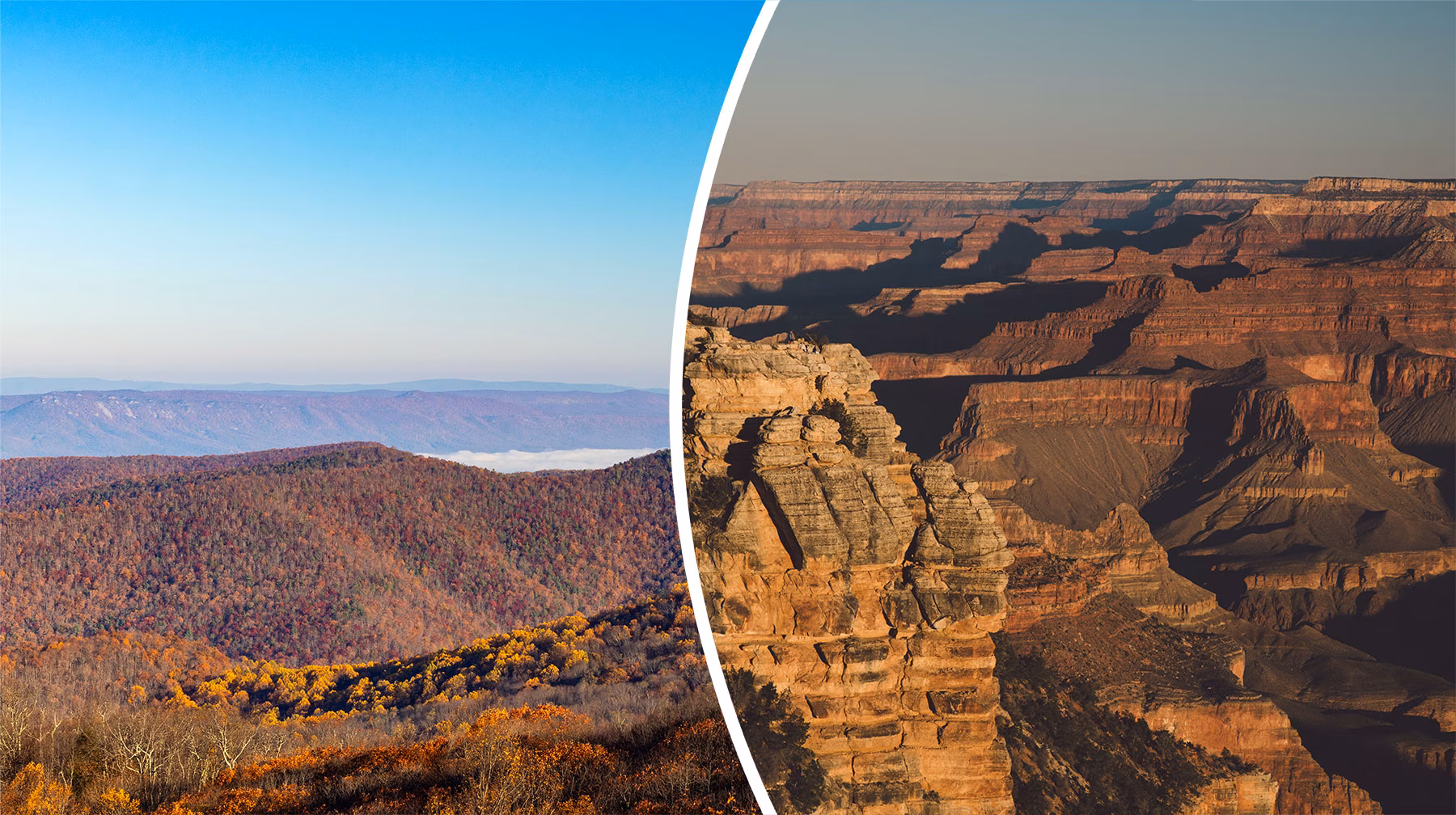 virginia-and-arizona
