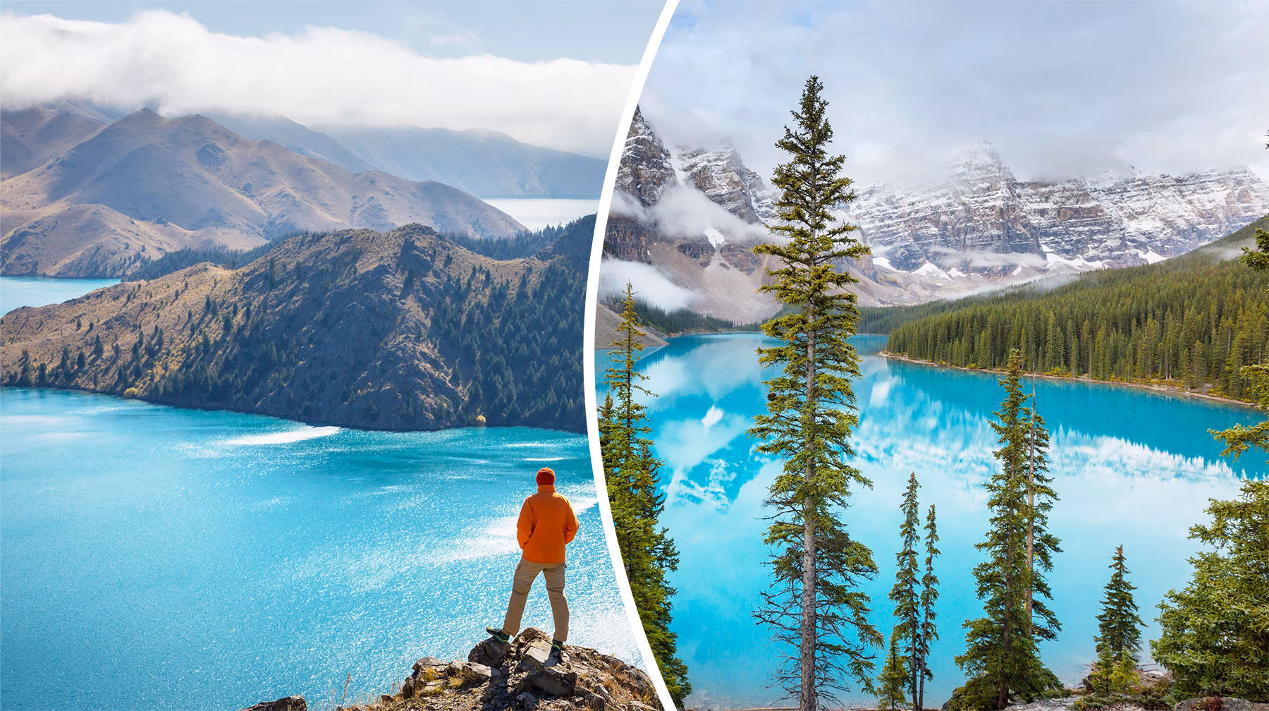 new-zealand-and-canada
