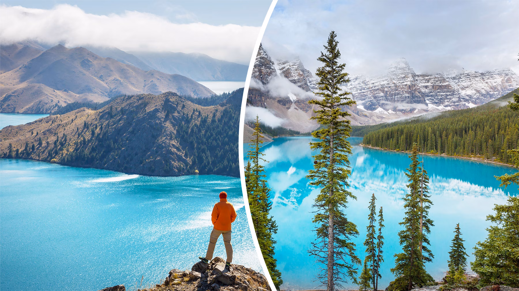 new-zealand-and-canada