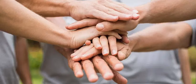 Non-Profit and NGOs