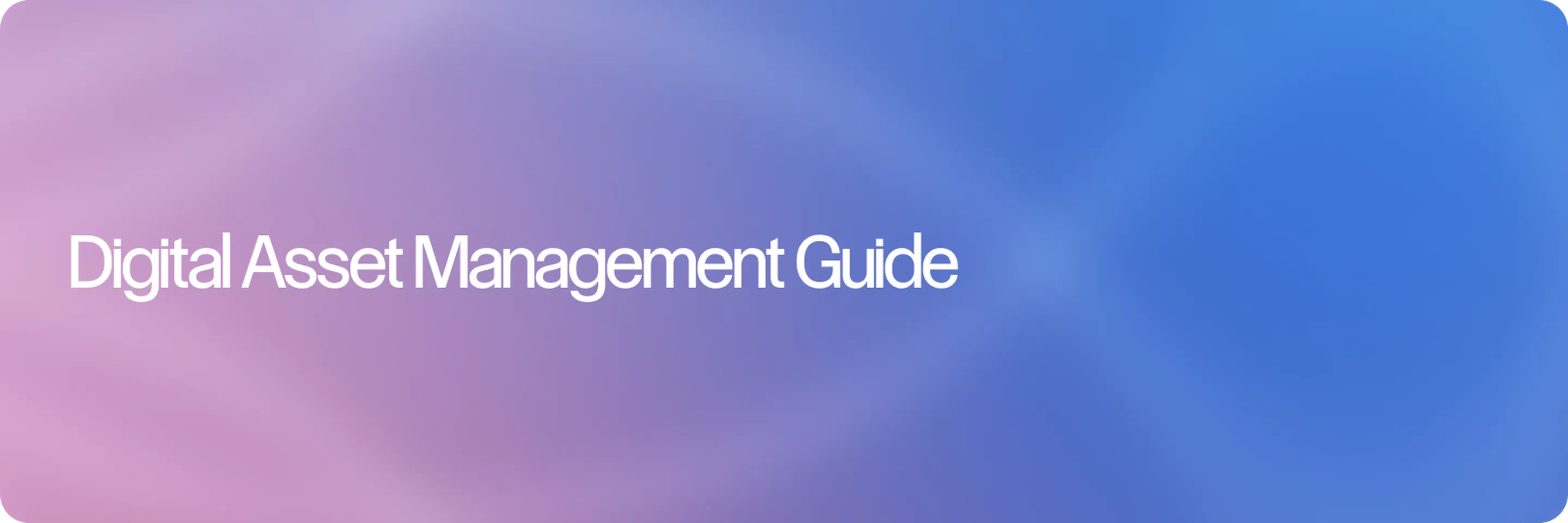 Digital Asset Management for Creative Teams: A Practical Guide