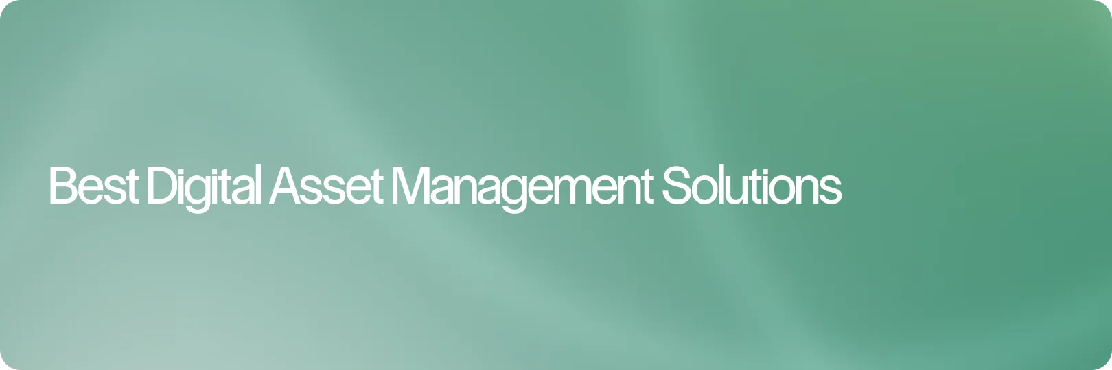 Best DAM Solutions in 2026: A Practical Guide for Creative Teams