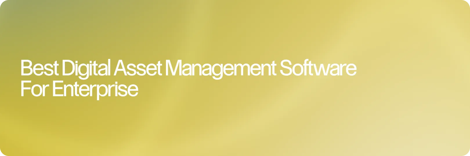 Best Enterprise DAM Software for Teams That Want the Price Up Front