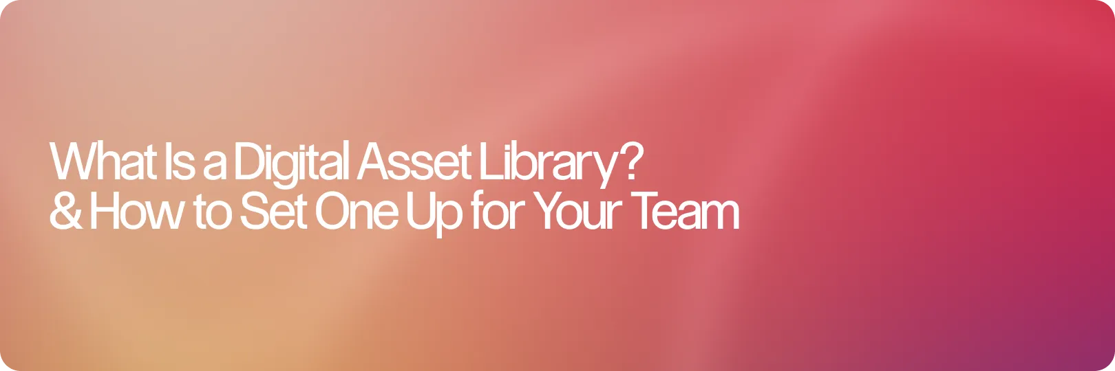 What Is a Digital Asset Library? How to Set One Up for Your Team