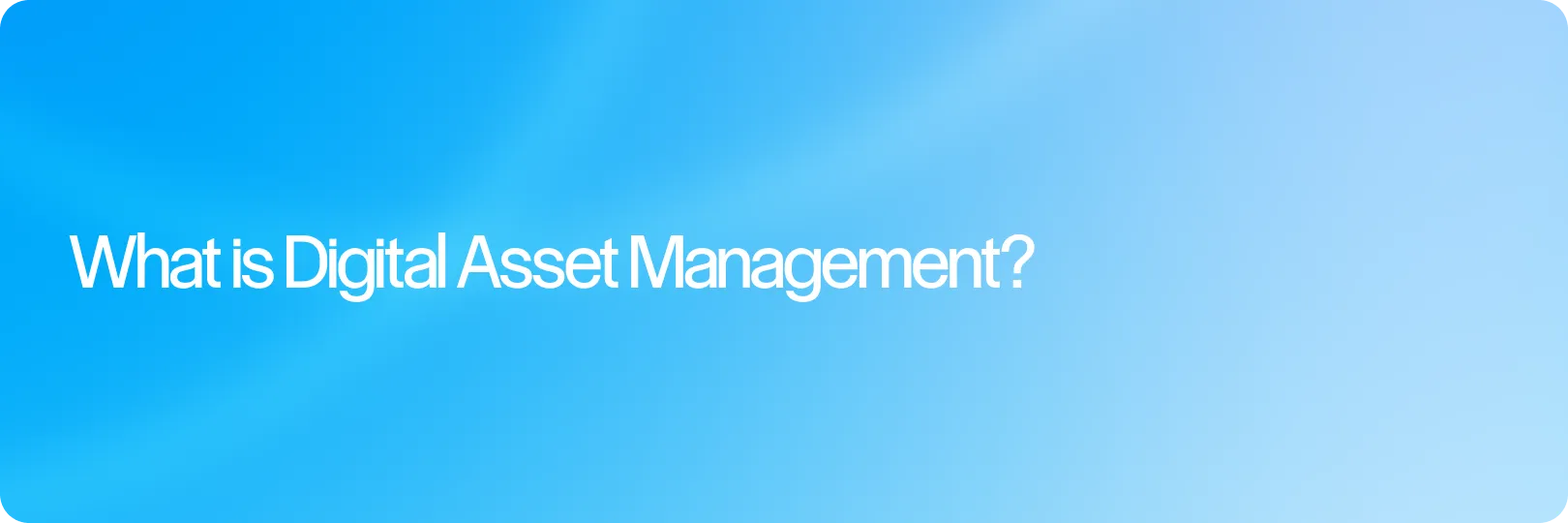 What is Digital Asset Management?