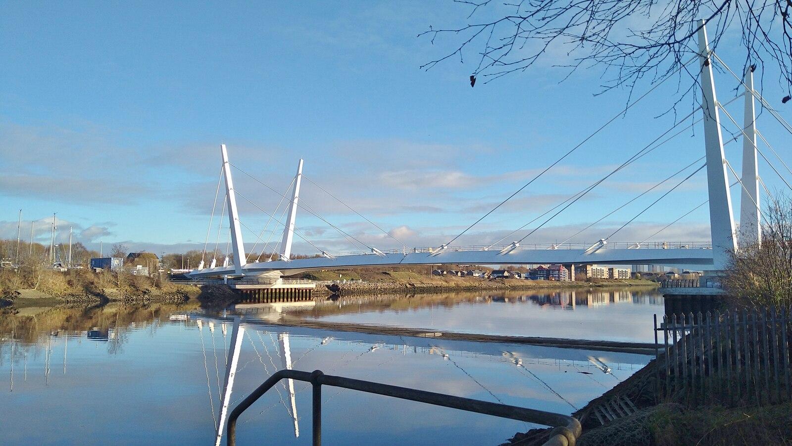 Modern cable-stayed bridge reflecting on a calm river, with clear blue sky and bare tree branches in the foreground.