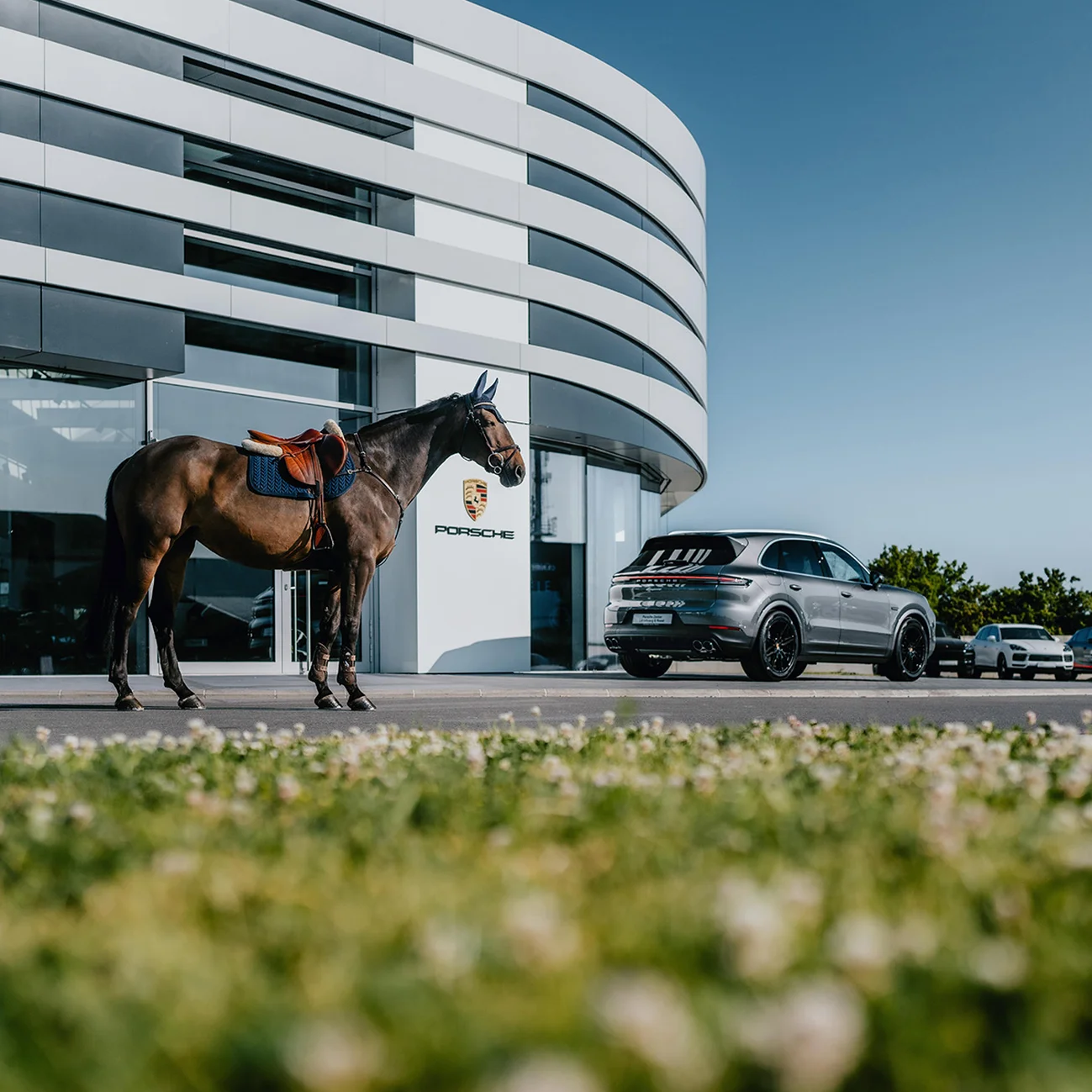 Vue extérieure du Porsche Zenter Roost, notre concessionaire au nord du Luxembourg, avec plusieurs voitures garées et un cheval devant le showroom, illustrant notre partenariat dans le monde du sport et évoquant le cheval du logo Porsche.