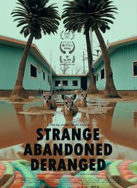 Hiçbir Şey Normal Değil film posteri