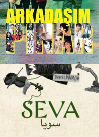 Arkadaşım Pınar - Seva film posteri