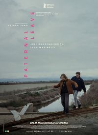 Babalık İzni film posteri