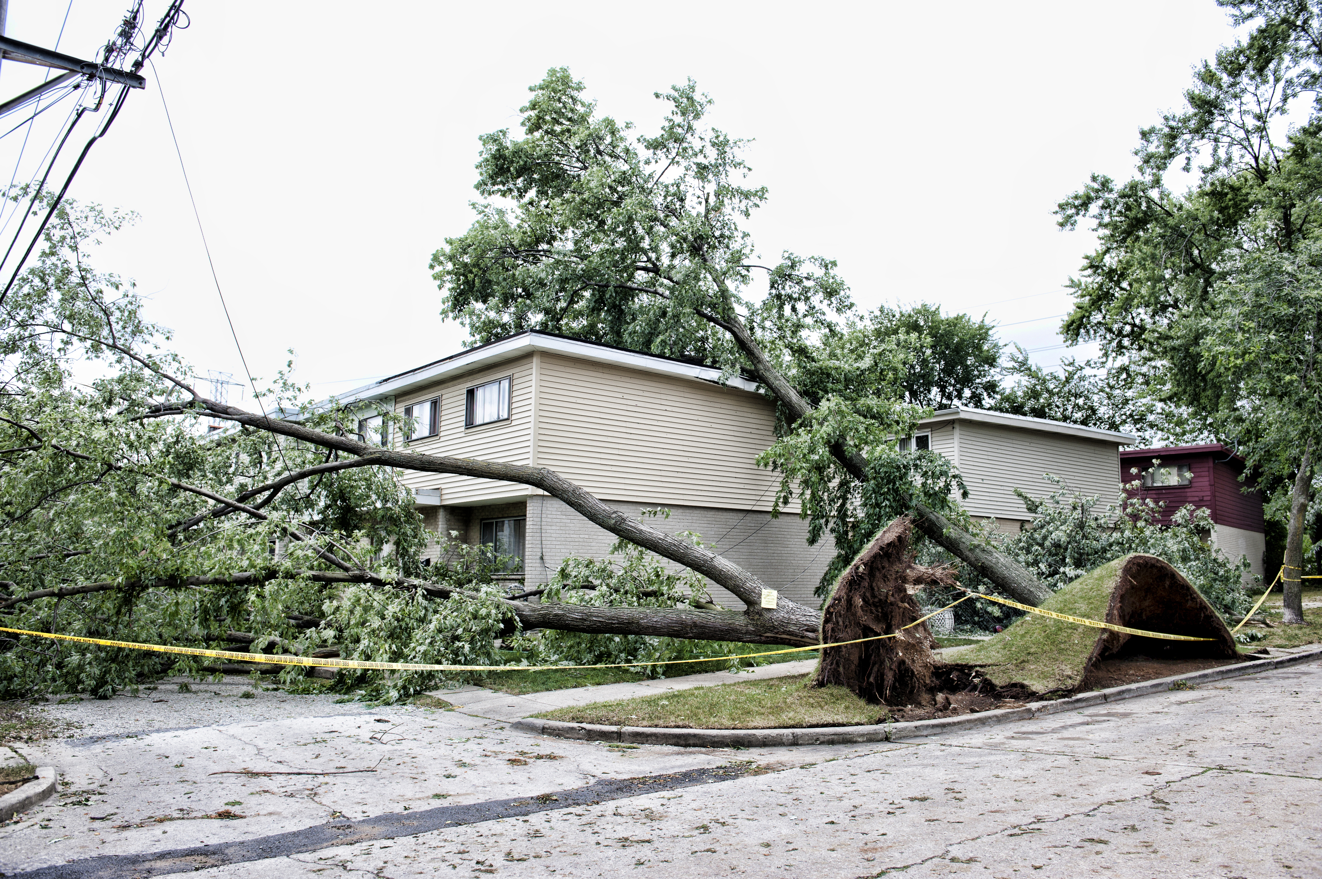 Wind and tornado protection  Resource Image