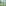 Right Background Image