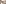  Right Background Image