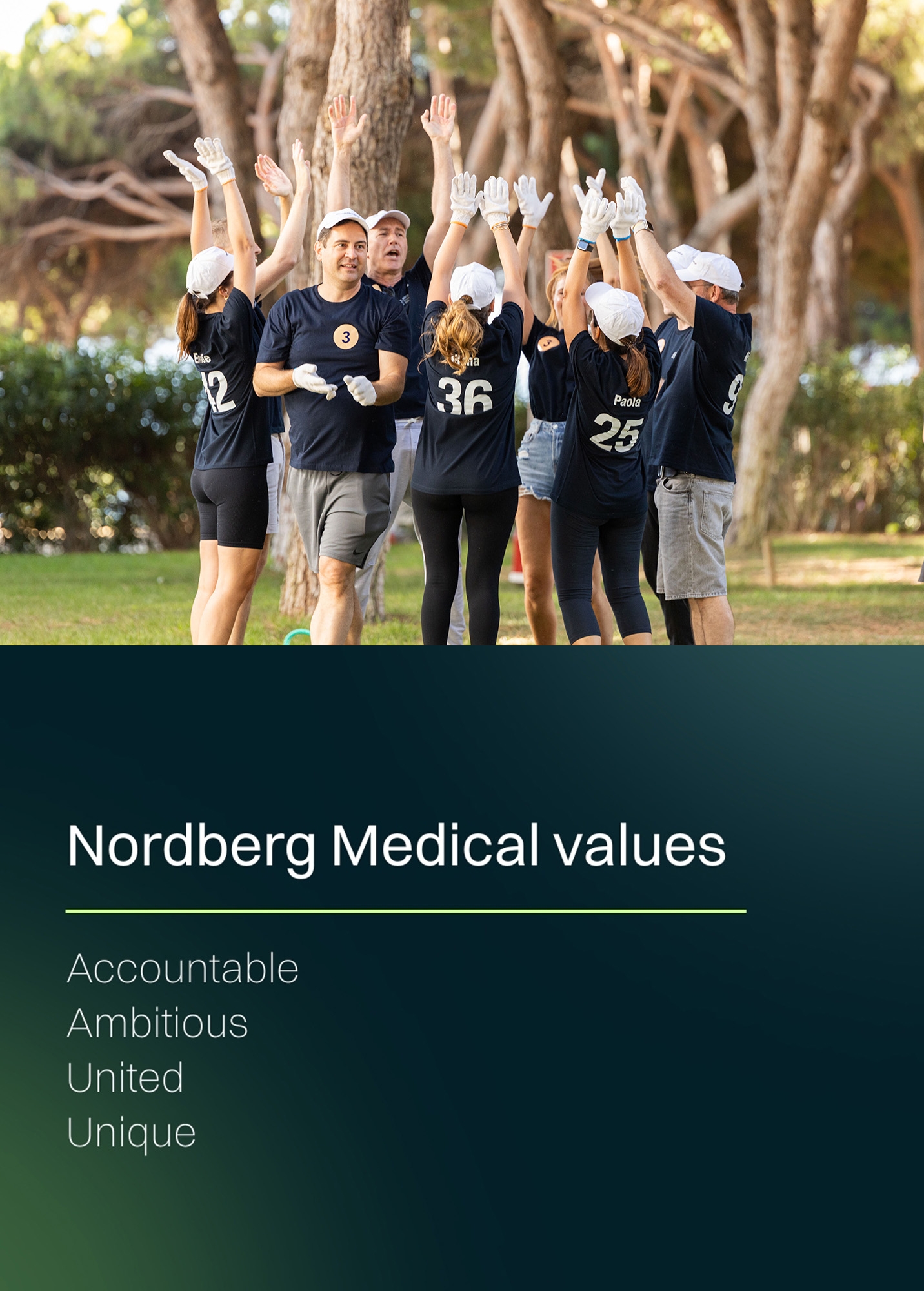 Biotech career at Nordberg Medical