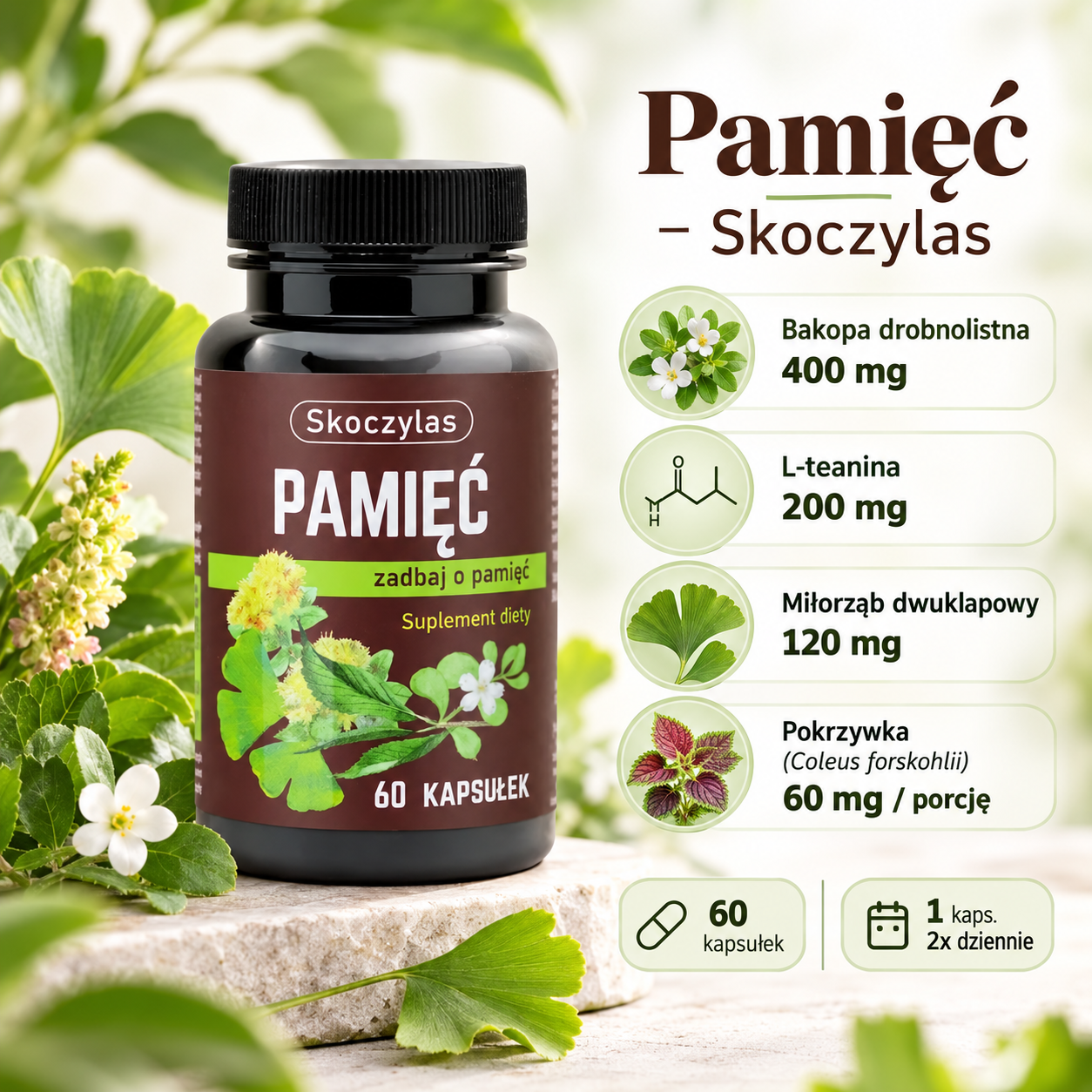 Opis orbazka