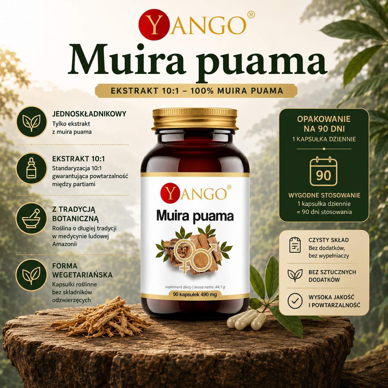 Muira Puama ekstrakt 10:1 – suplement diety, 90 kapsułek roślinnych, forma wegetariańska, 490 mg w kapsułce.