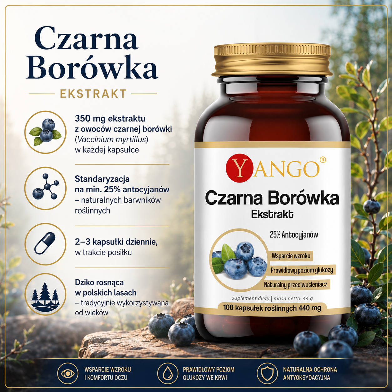 Opis orbazka