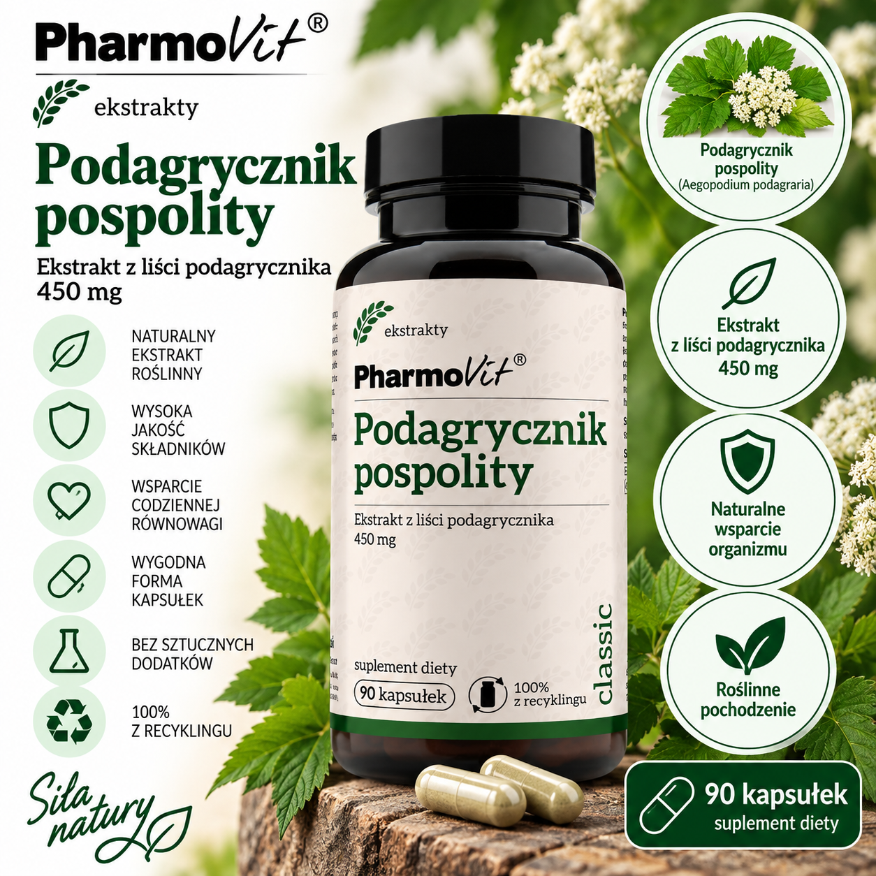 PharmoVit Pokrzywa zwyczajna – suplement diety, 90 kapsułek, zawierający ekstrakt z pokrzywy zwyczajnej (Urtica dioica) standaryzowany na 1% krzemionki.