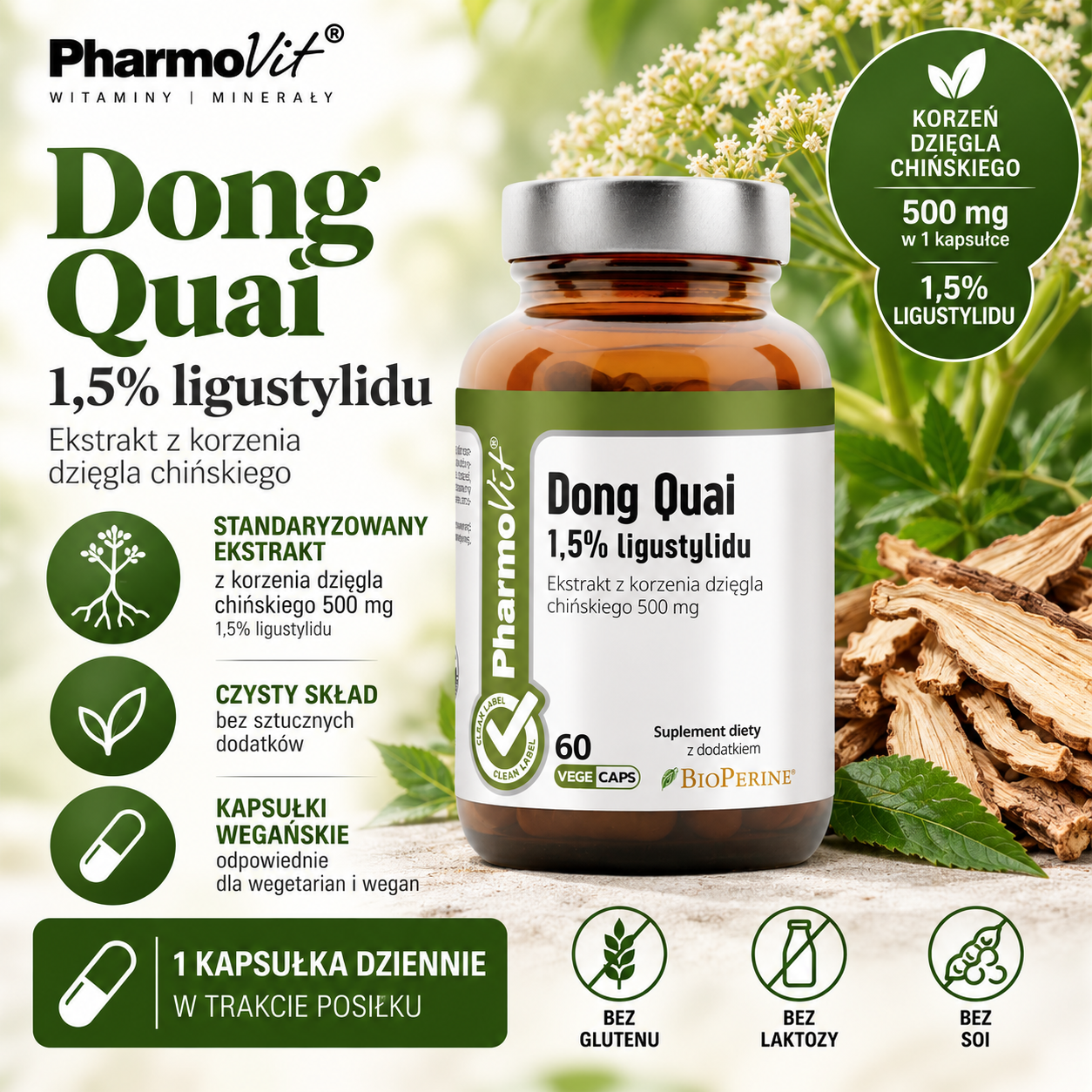 PharmoVit Dong Quai 1,5% ligustylidu – suplement diety, 60 kapsułek wegańskich, zawierający 500 mg ekstraktu z korzenia dzięgla chińskiego.
