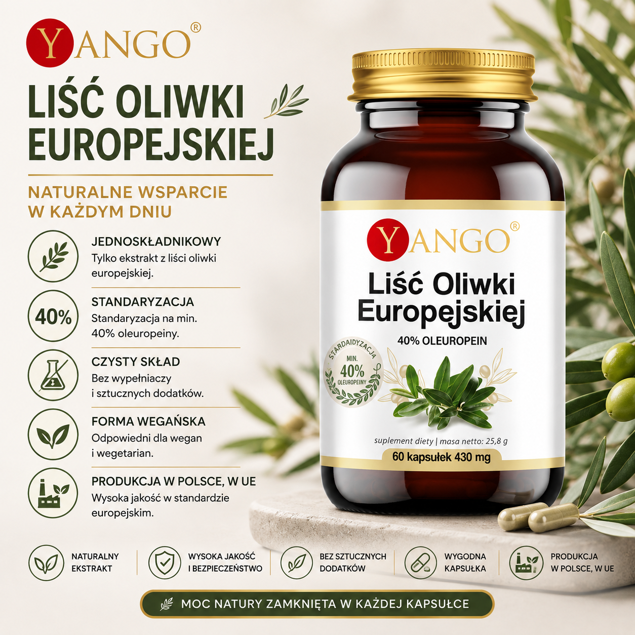 Liść Oliwki Europejskiej, 60 kapsułek – suplement diety z ekstraktem z liści oliwki standaryzowanym na minimum 40% oleuropeiny, wegańska formuła bez wypełniaczy i sztucznych dodatków.