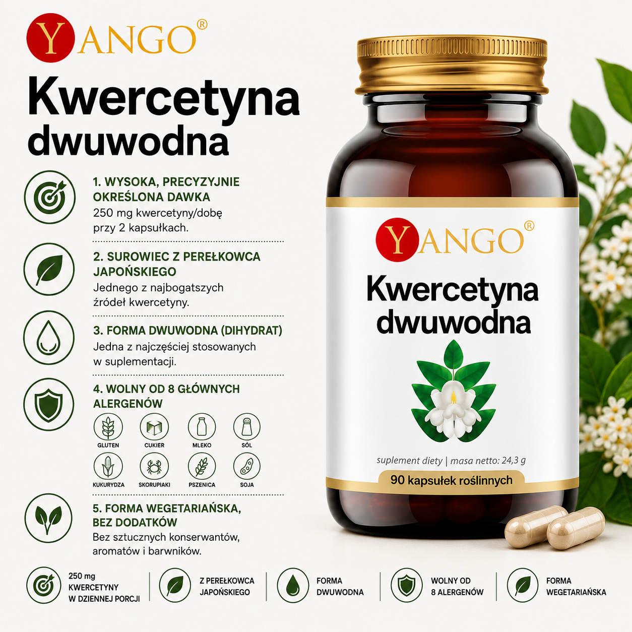 Yango Kwercetyna dwuwodna – suplement diety, 90 kapsułek roślinnych, 250 mg kwercetyny w dziennej porcji, forma wegetariańska.