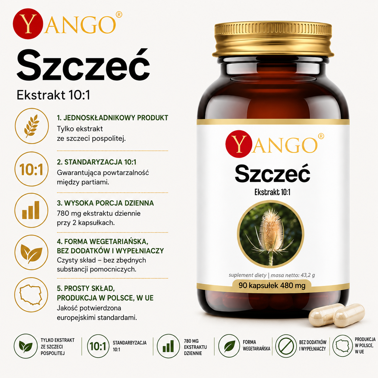 Szczeć – suplement diety z ekstraktem ze szczeci pospolitej 10:1, 90 kapsułek, 780 mg ekstraktu w dziennej porcji, forma wegetariańska.