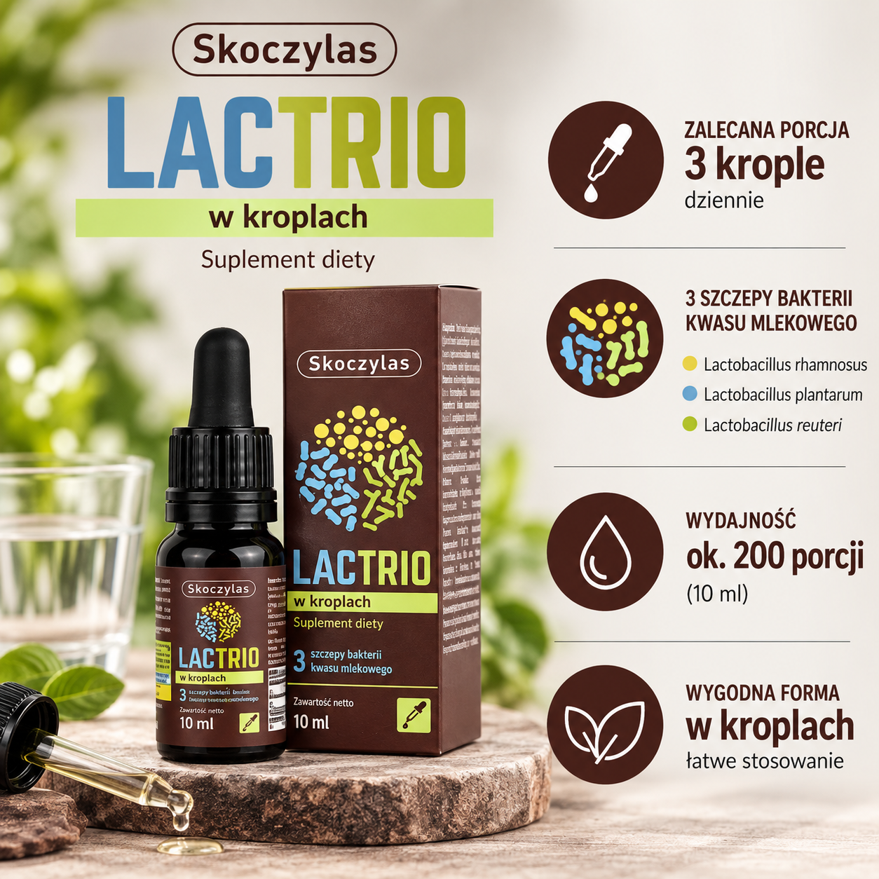 Skoczylas LACTRIO w kroplach 10 ml – suplement diety. Grafika informacyjna przedstawiająca butelkę z pipetą i opakowanie produktu oraz najważniejsze dane: zalecana porcja 3 krople dziennie, 3 szczepy bakterii kwasu mlekowego (Lactobacillus rhamnosus, Lactobacillus plantarum, Lactobacillus reuteri), około 200 porcji w opakowaniu i forma produktu w kroplach.