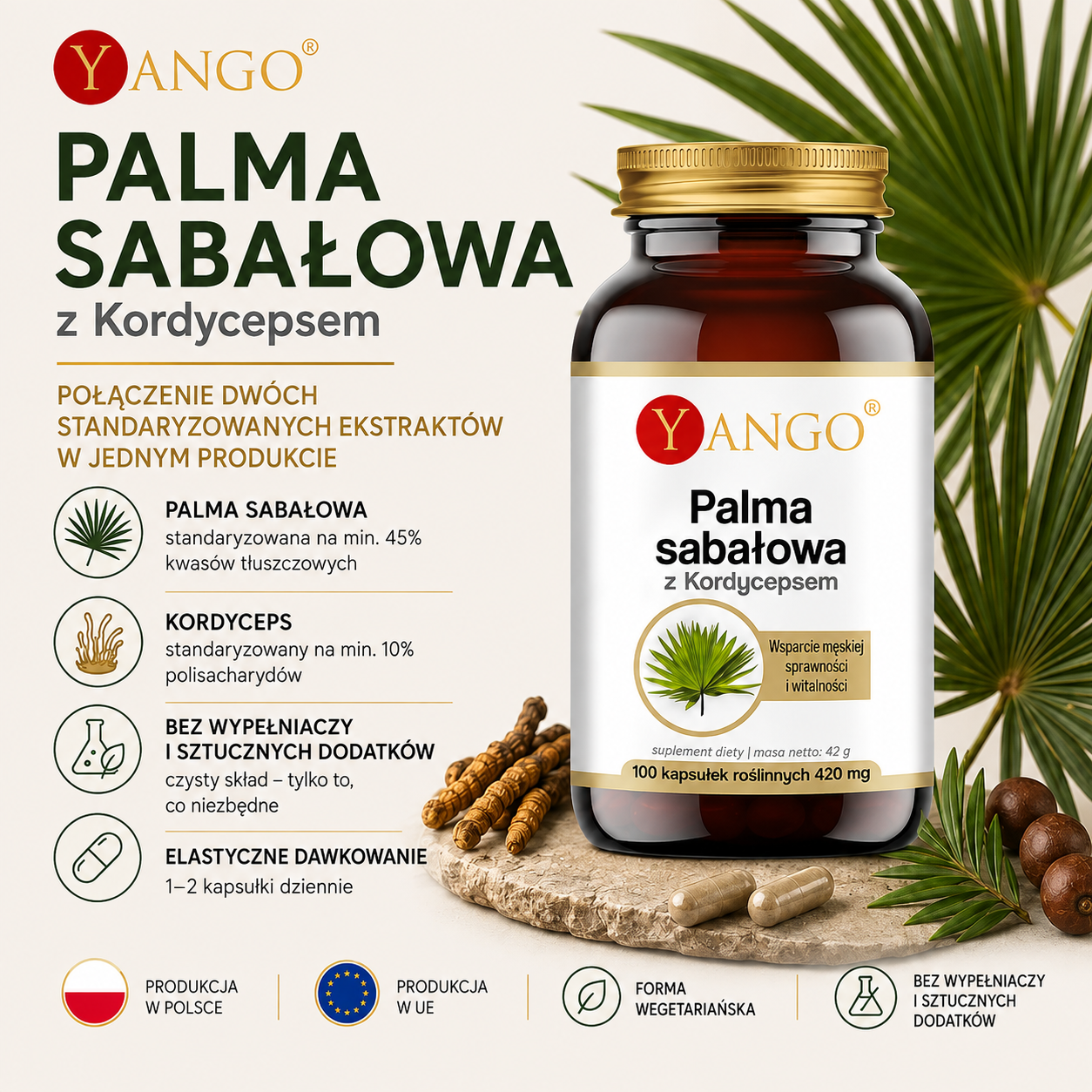 Palma sabałowa z Kordycepsem – suplement diety w 100 kapsułkach roślinnych po 420 mg. Grafika przedstawia bursztynową butelkę produktu na jasnym tle z elementami roślin palmy sabałowej oraz kordycepsem. Podano skład: ekstrakt z palmy sabałowej standaryzowany na min. 45% kwasów tłuszczowych oraz ekstrakt z kordycepsu standaryzowany na min. 10% polisacharydów; produkt nie zawiera wypełniaczy ani sztucznych dodatków, jest w formie wegetariańskiej, a zalecane spożycie wynosi 1–2 kapsułki dziennie.